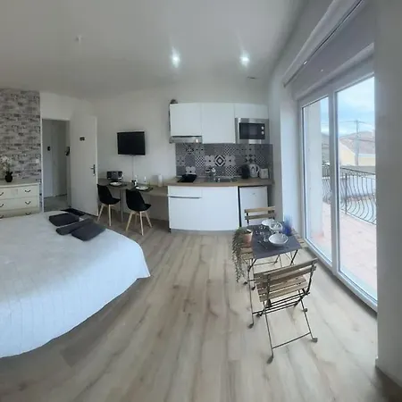 Apartment Wagner'studio Balneo'terrasse Au Calme Chasse-sur-Rhone